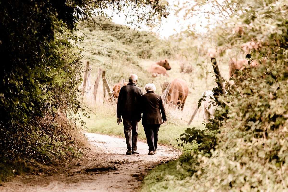 Do you want to take better care of your brain? Take a stroll